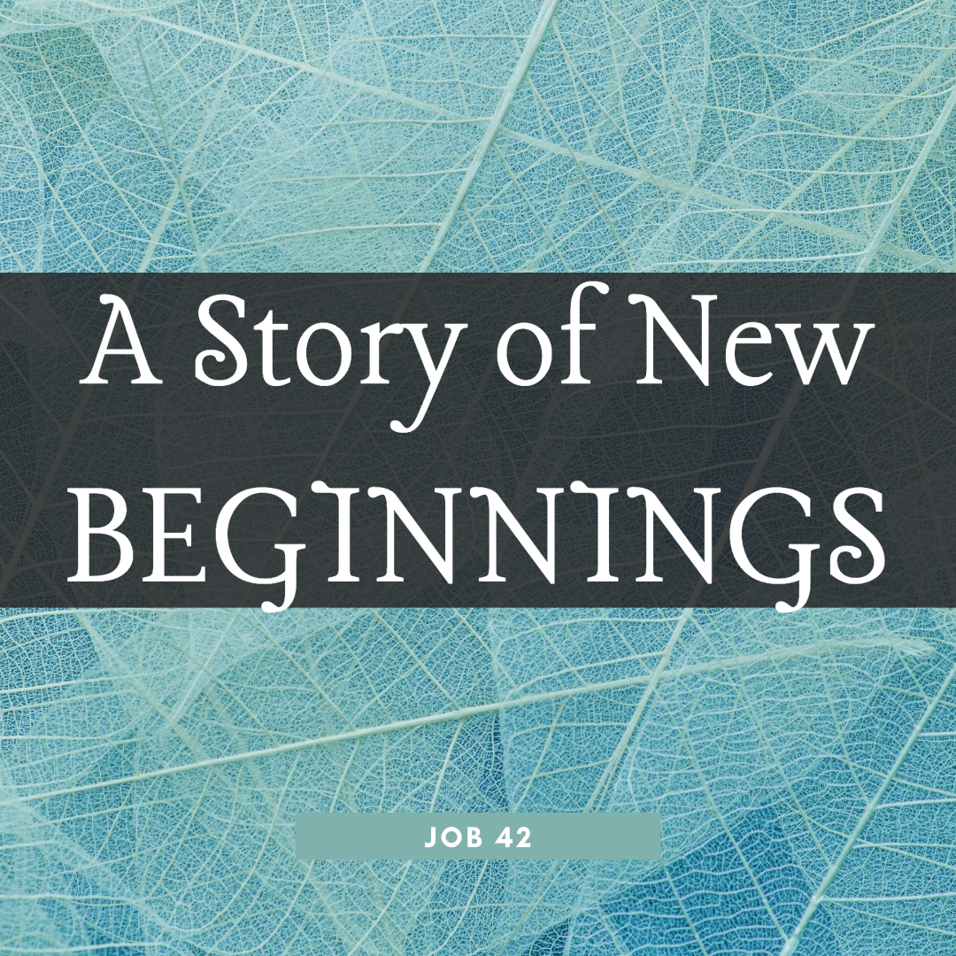 A Story of New Beginnings