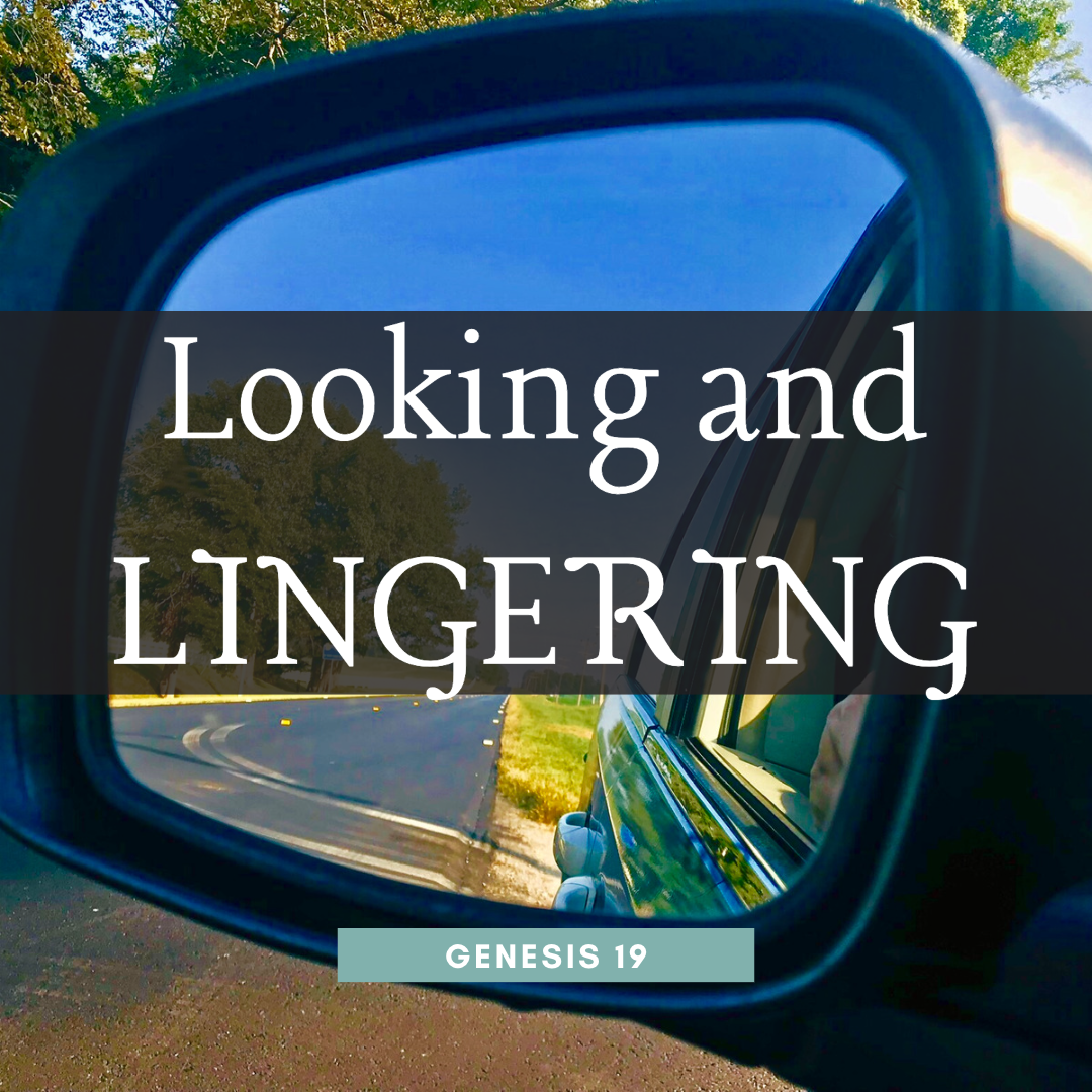 Looking and Lingering