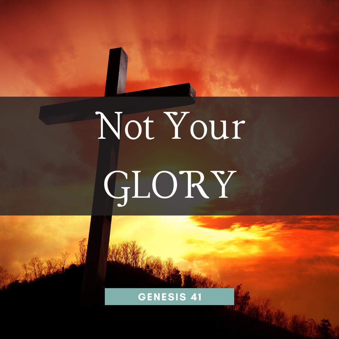 Not Your Glory