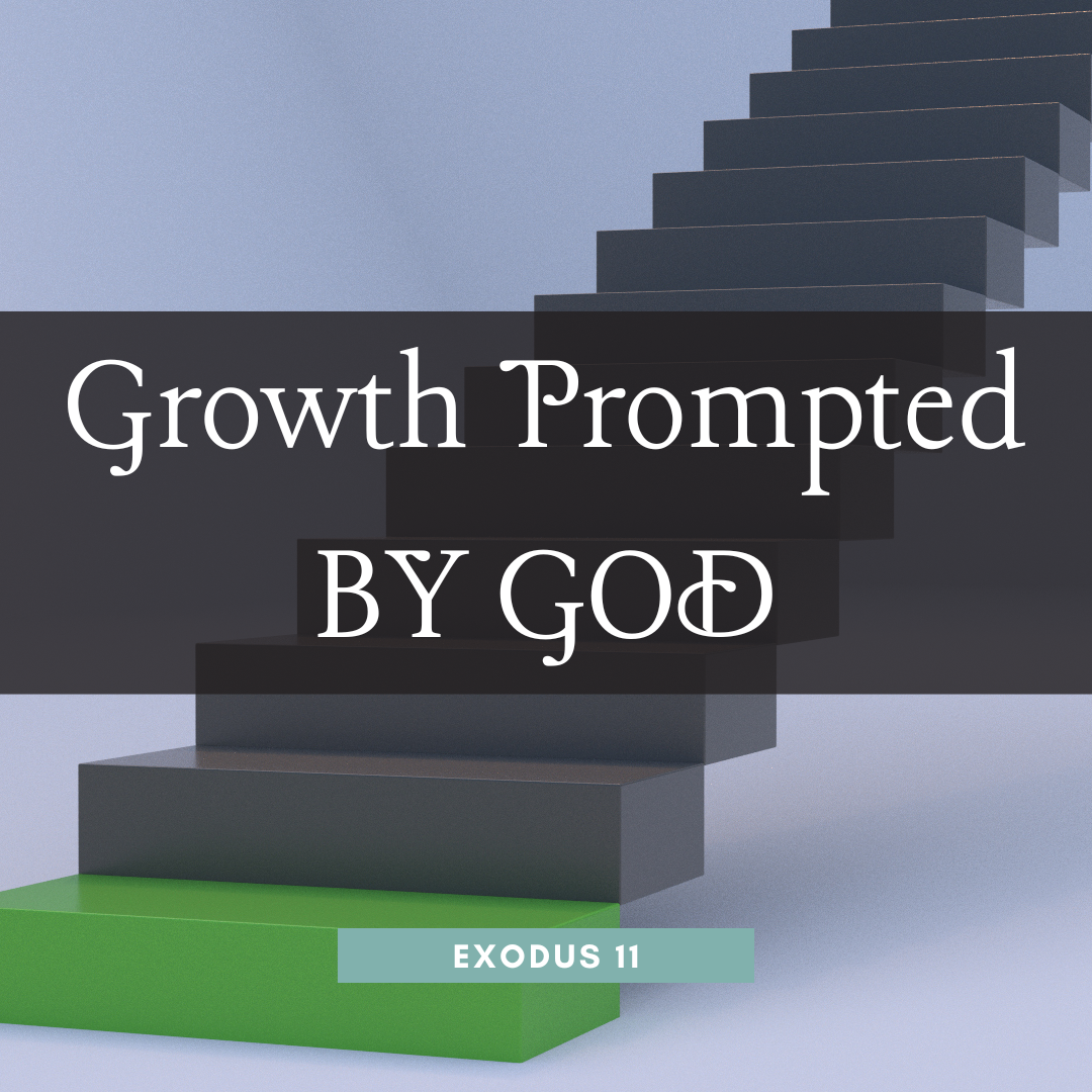 Growth Prompted By God