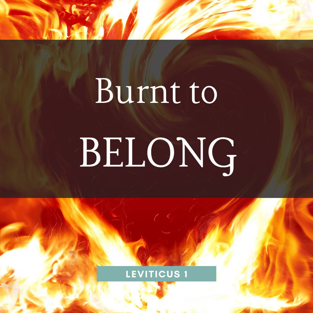 Burnt to Belong