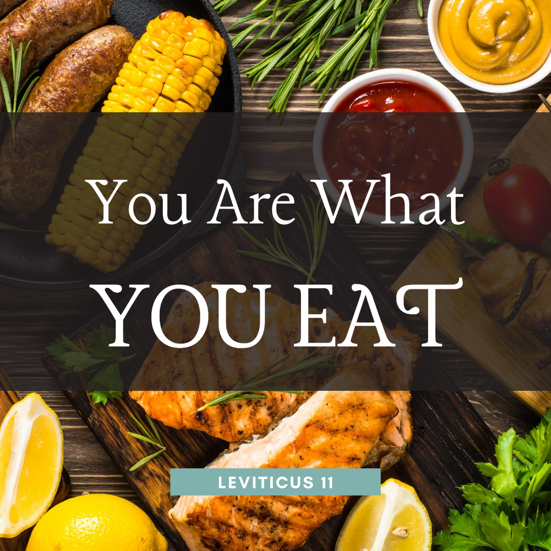 You Are What You Eat