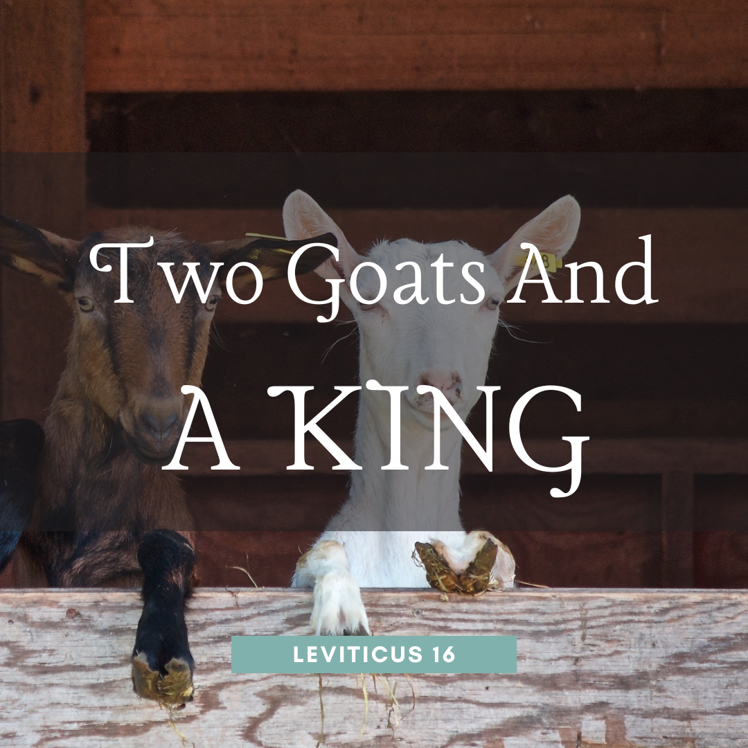 Two Goats and a King