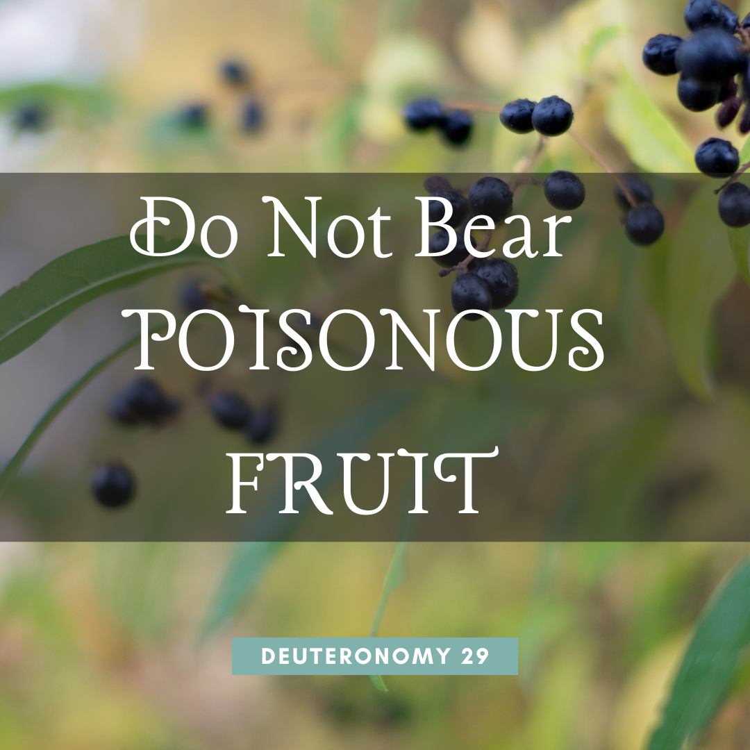 Do Not Bear Poisonous Fruit