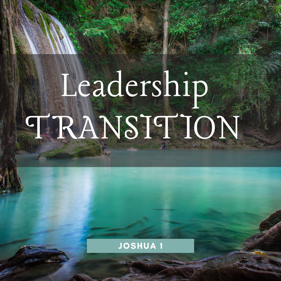 Leadership Transition