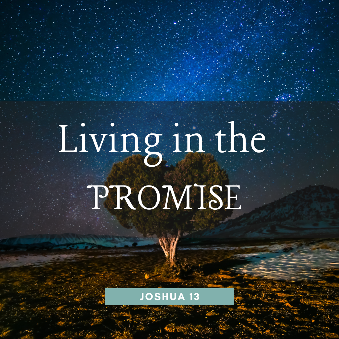 Living In The Promise 