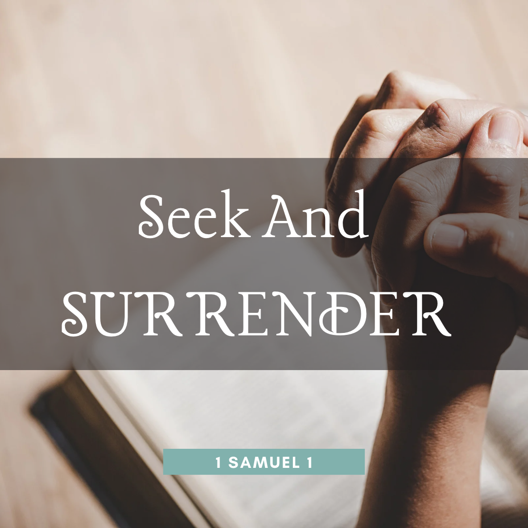Seek and Surrender