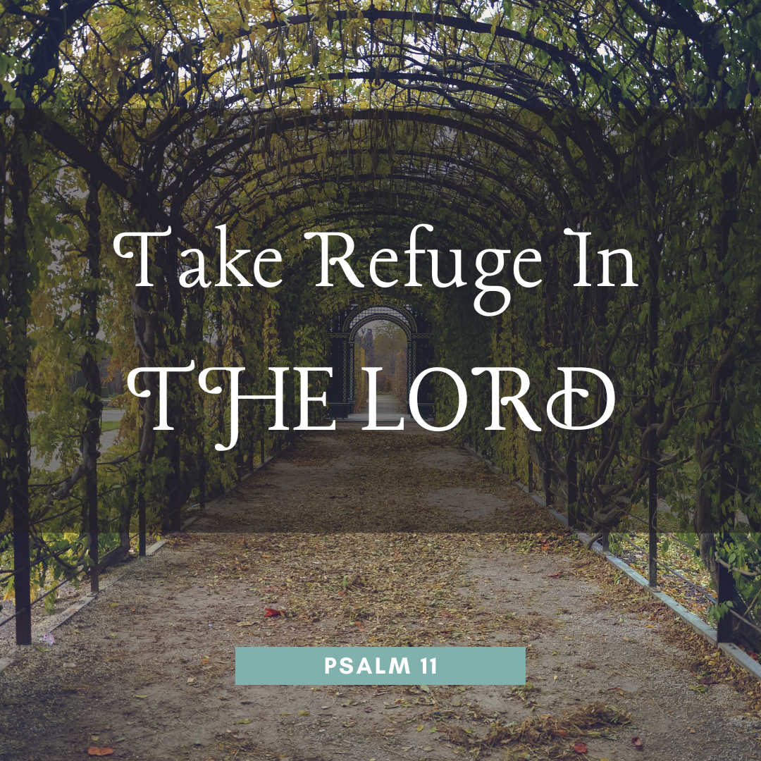 Take Refuge in the Lord