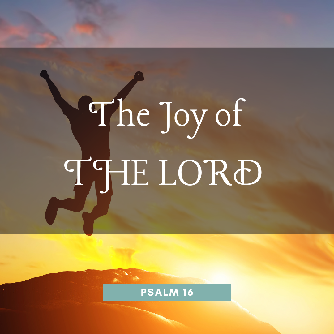 The Joy of the Lord