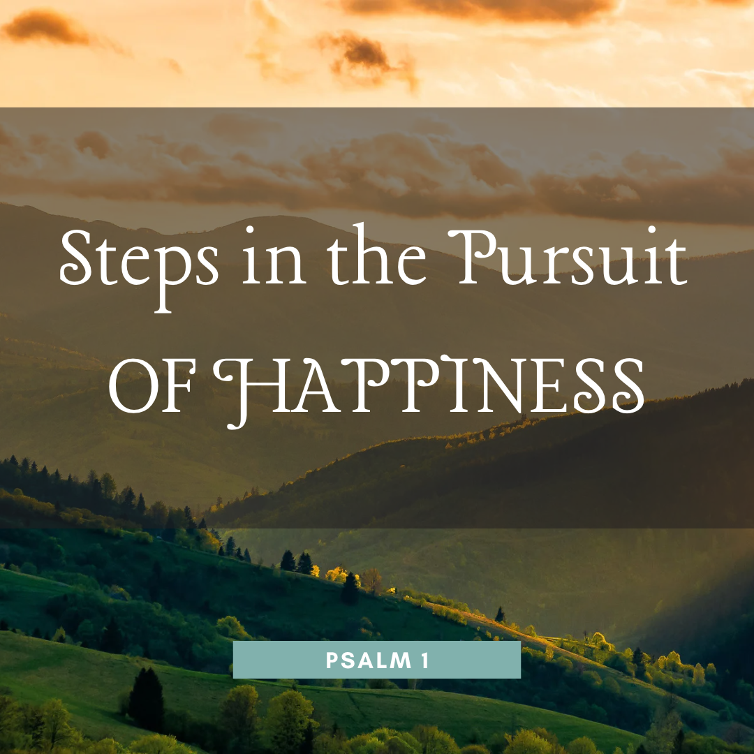 The Steps to the Pursuit of Happiness