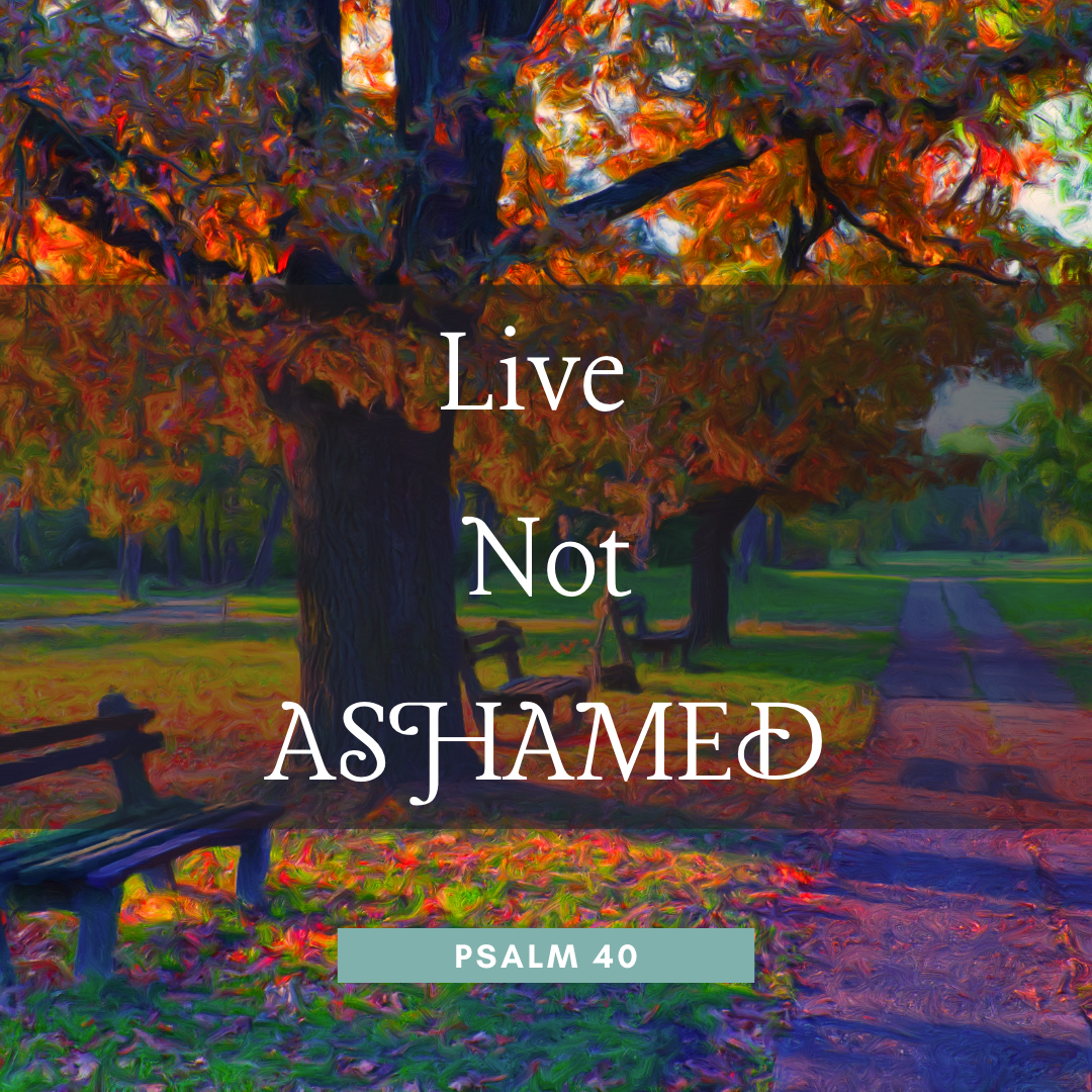 Live Not Ashamed