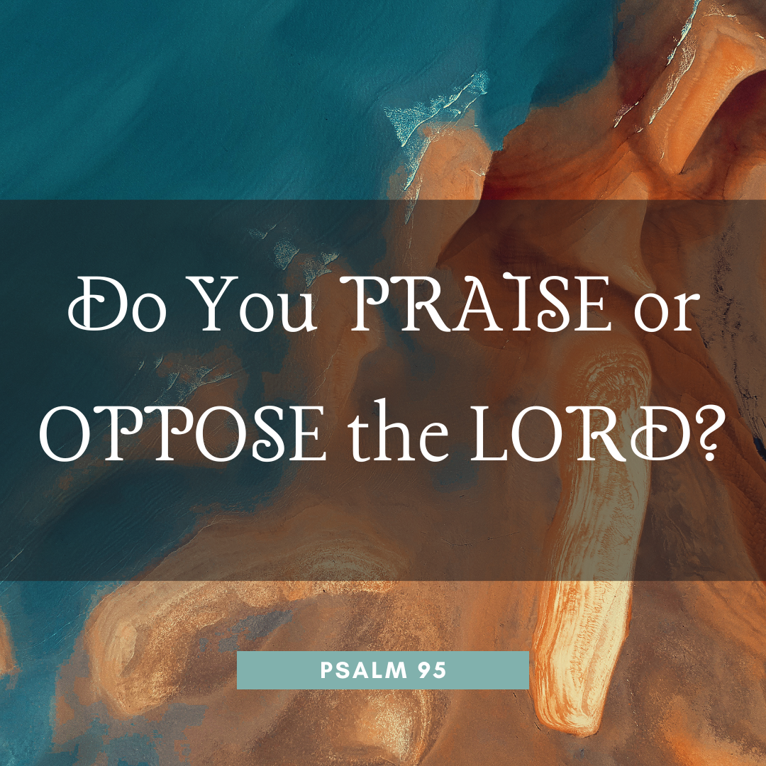 Do You Oppose or Praise the Lord