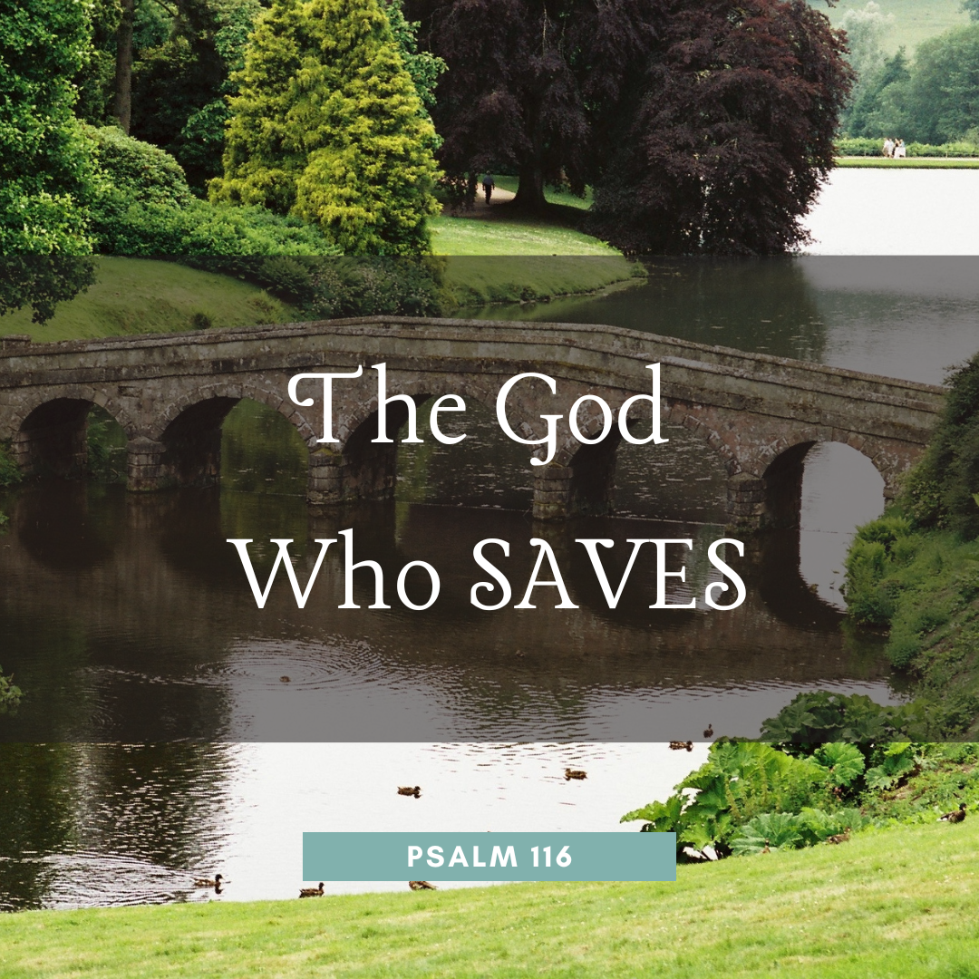 The God Who Saves