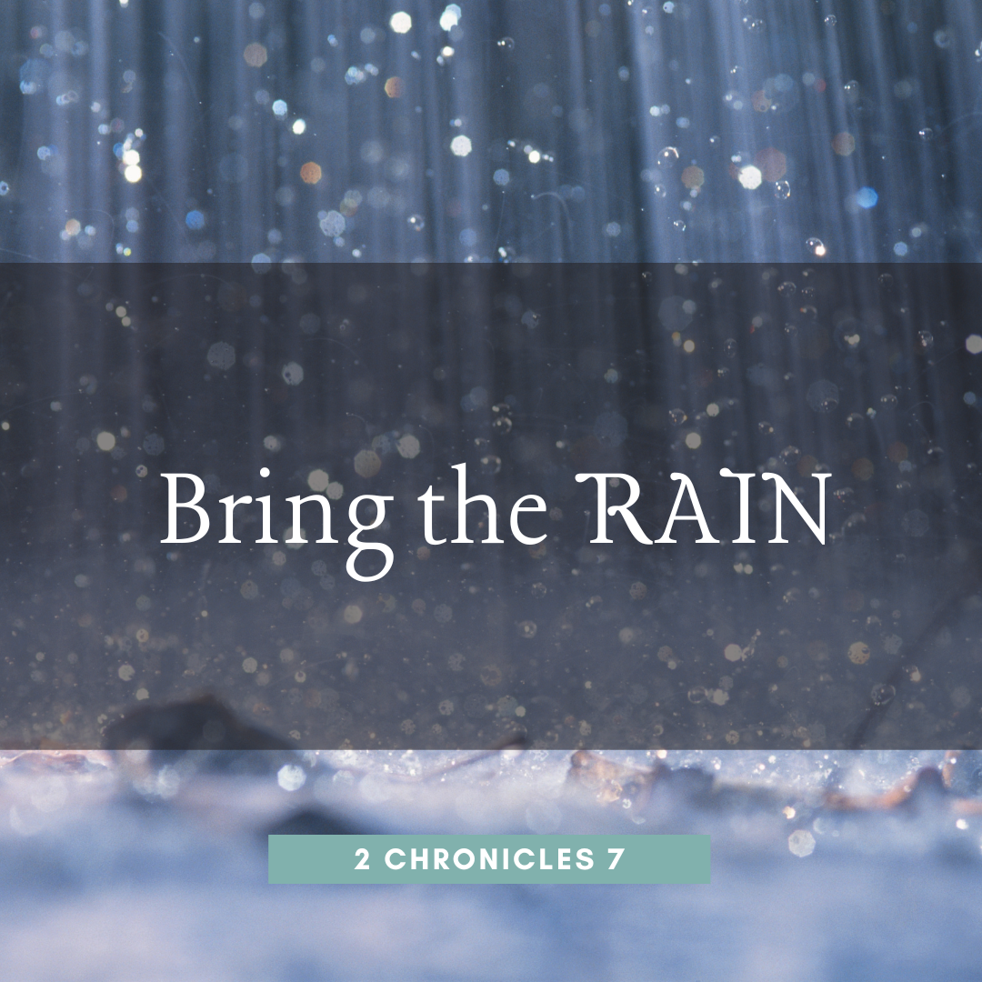 Bring the Rain