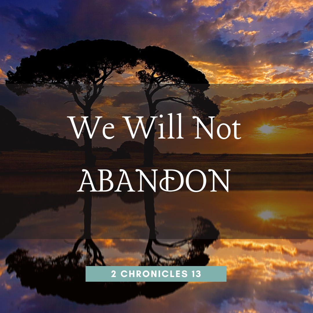 We Will Not Abandon