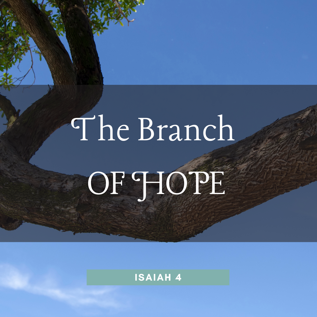 The Branch of Hope