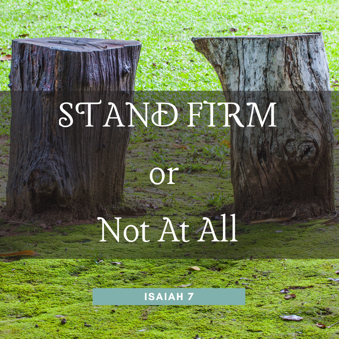 Stand Firm Or Not At All