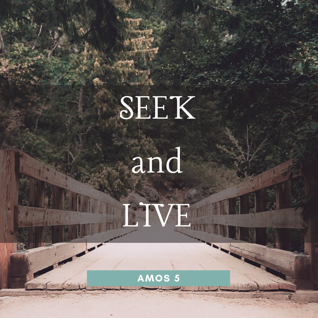 Seek and Live
