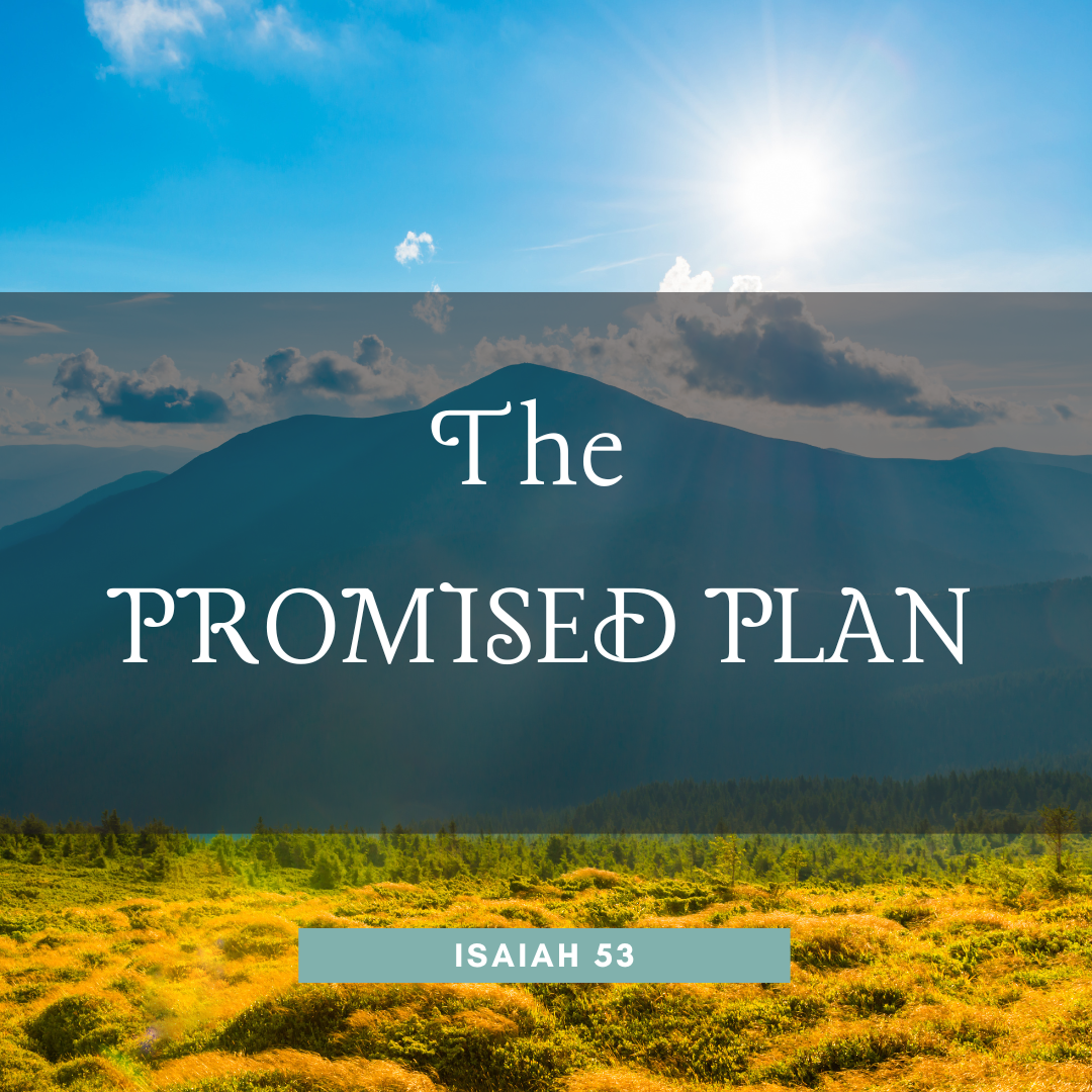 The Promised Plan