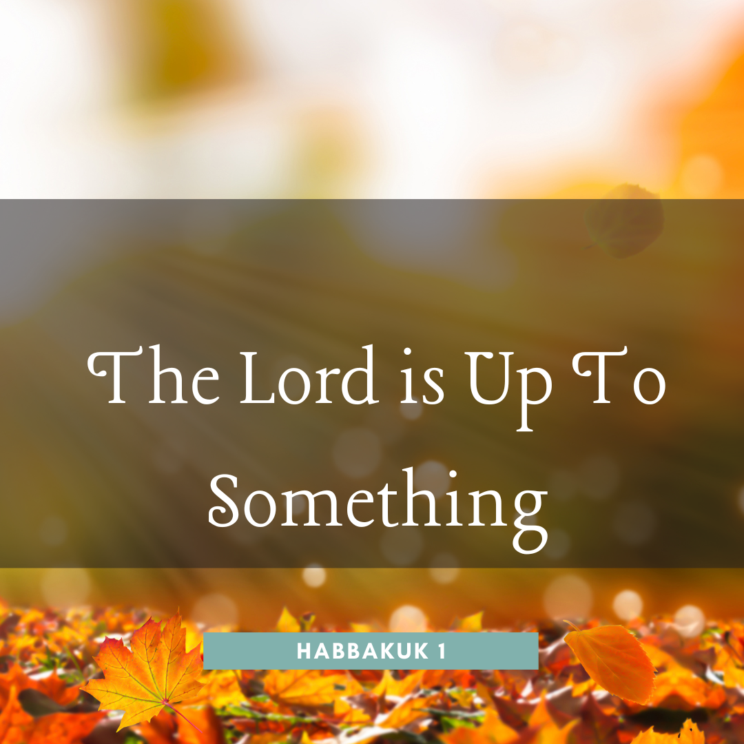 The Lord Is Up To Something