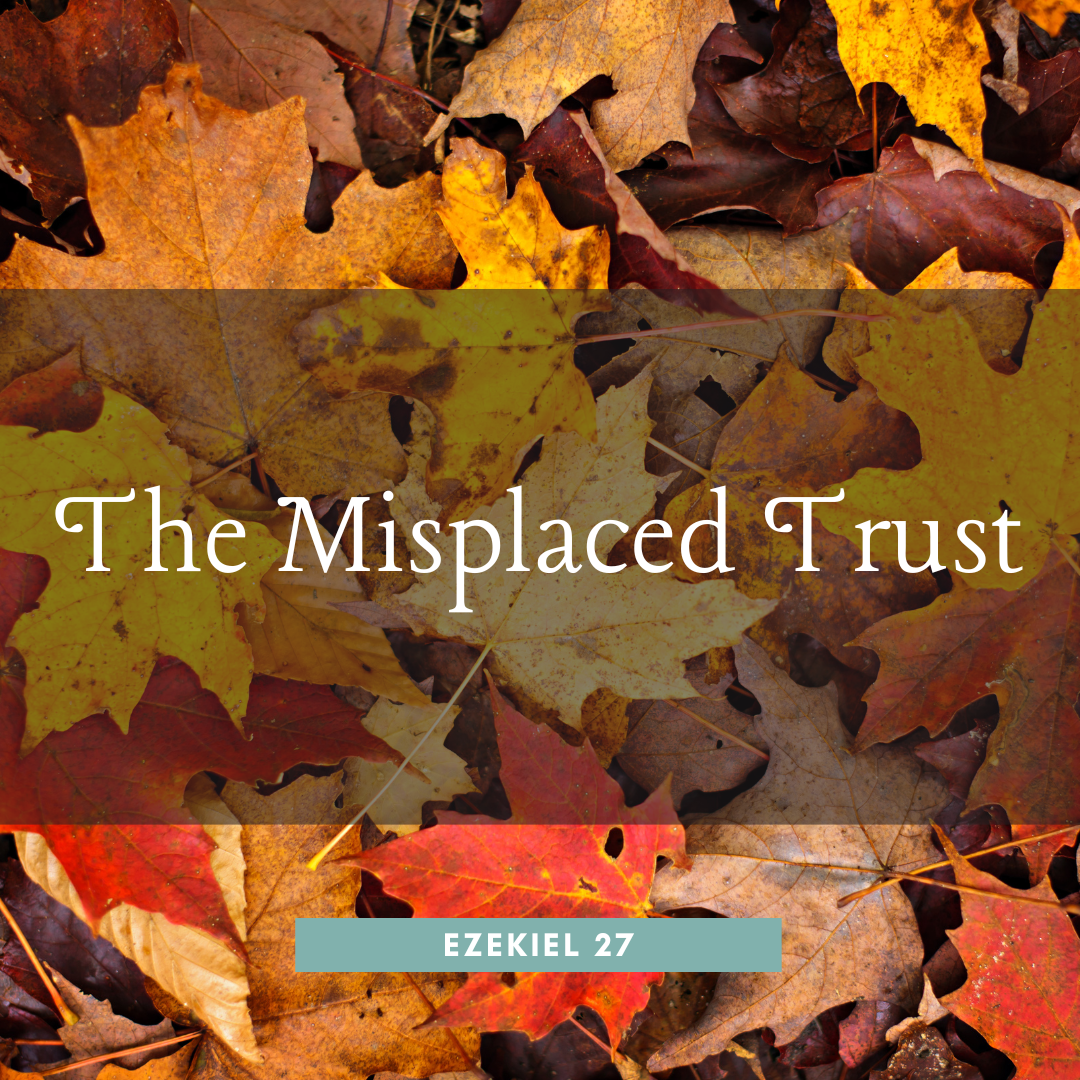 The Misplaced Trust