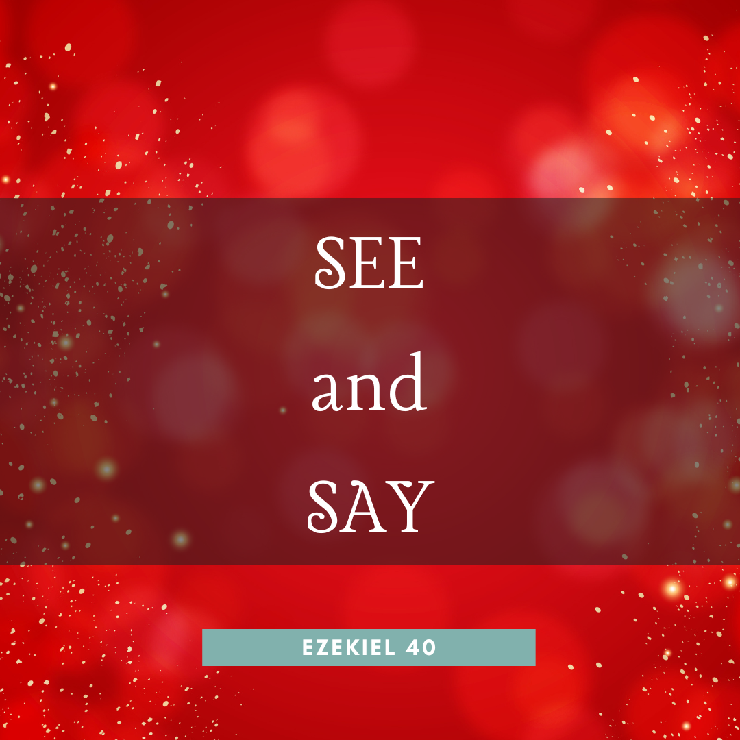 See and Say