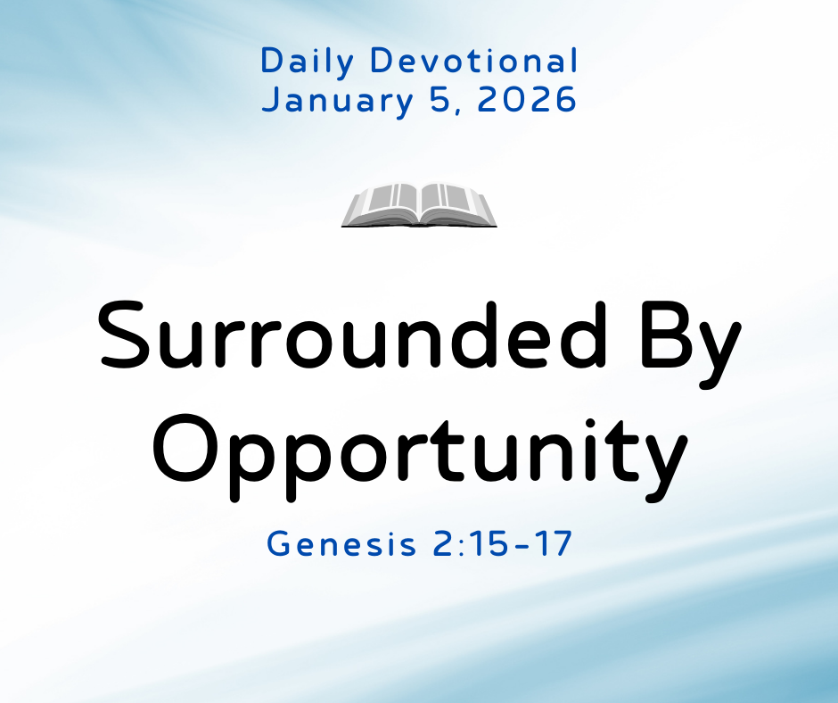 Surrounded by Opportunity