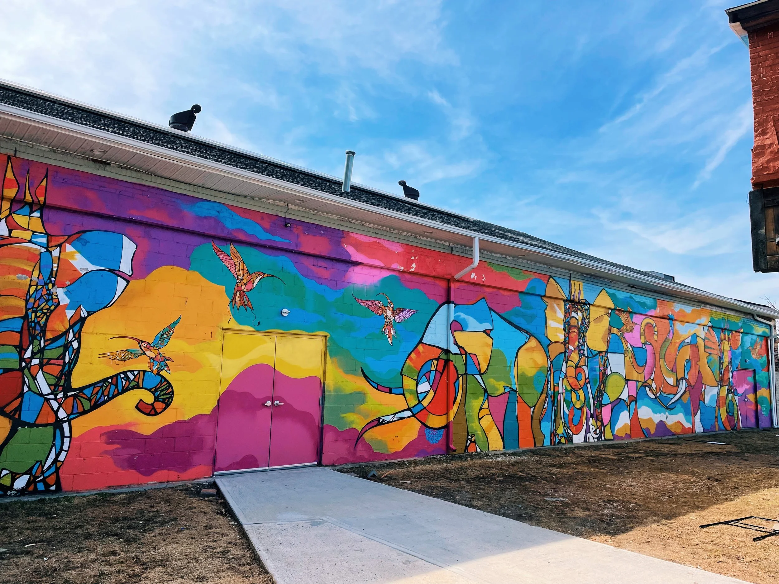 elephants-hummingbirds-mural-craig-anthony-miller-the-knowlton-bridgeport.jpg
