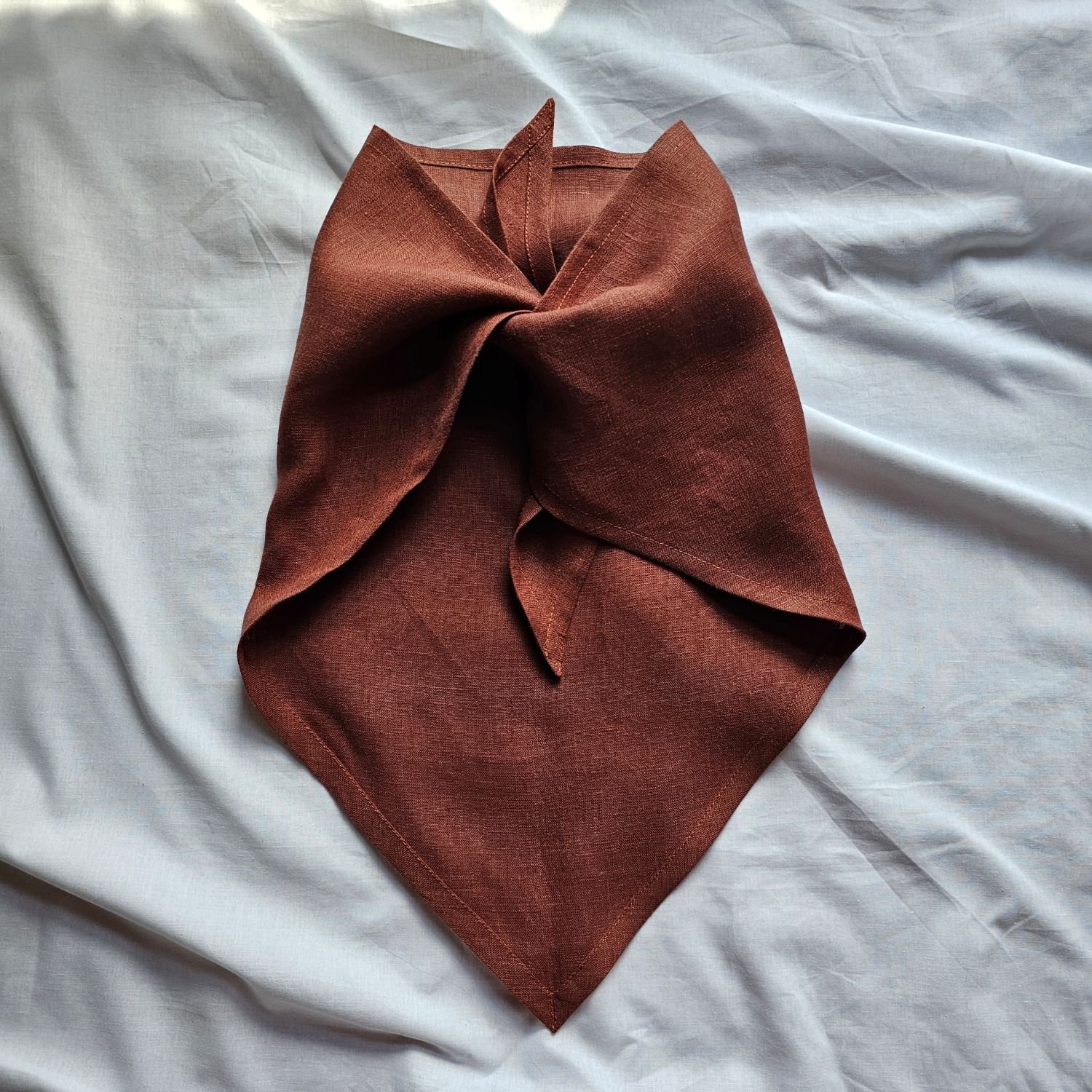 Neck Tie Burnt Sienna.jpg