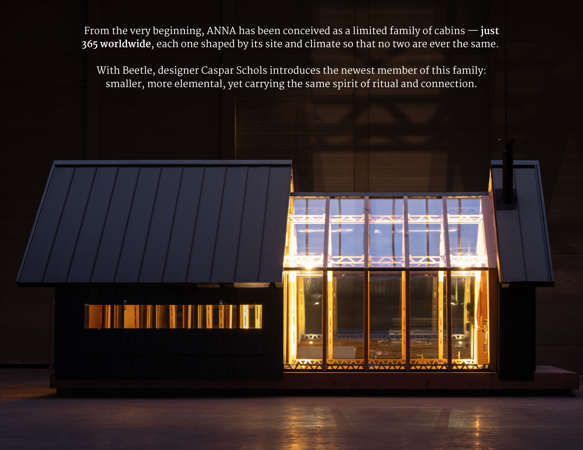 Hello, Beetle. (1).png