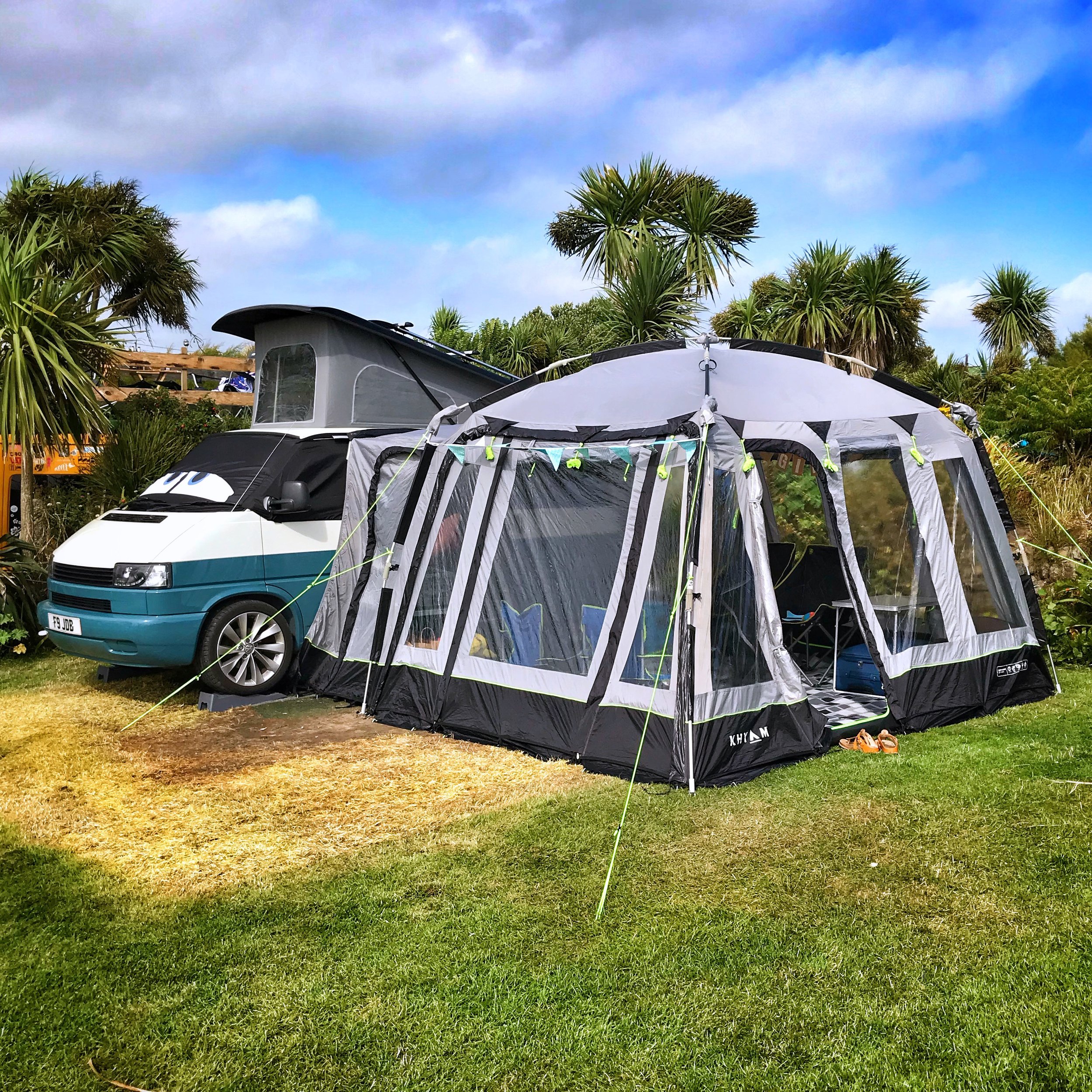 Henry's Campsite, Lizard