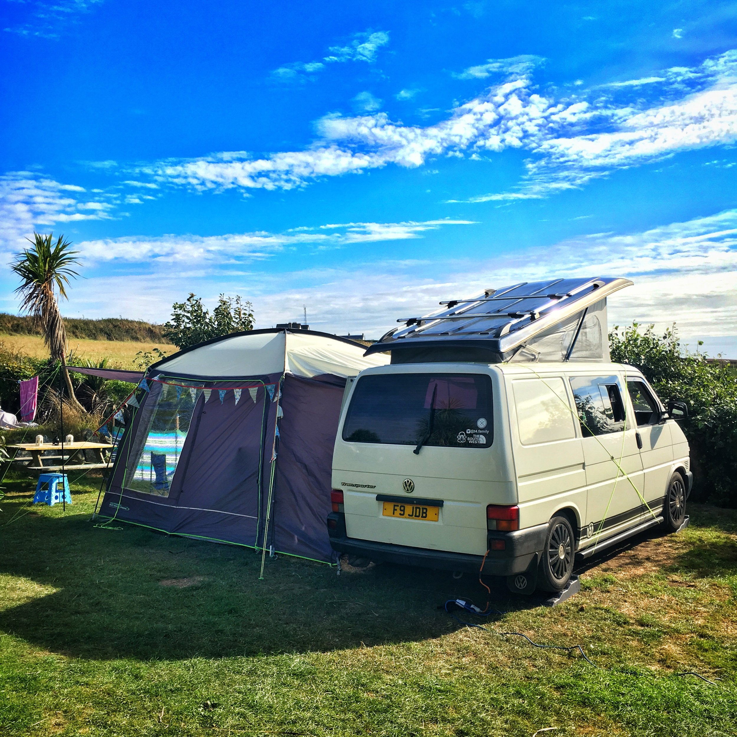 Henry's Campsite, Lizard