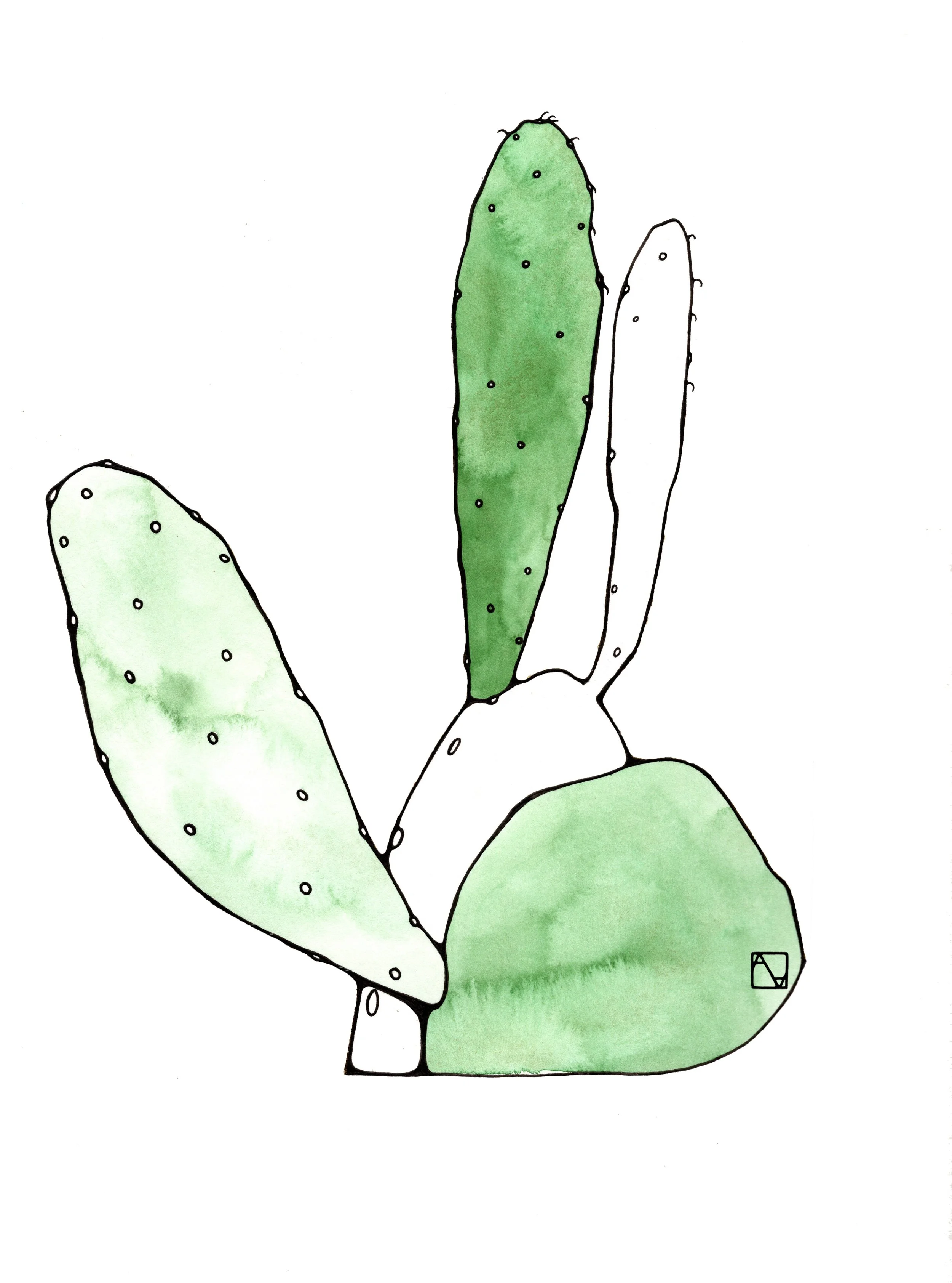 pricklypear.jpg