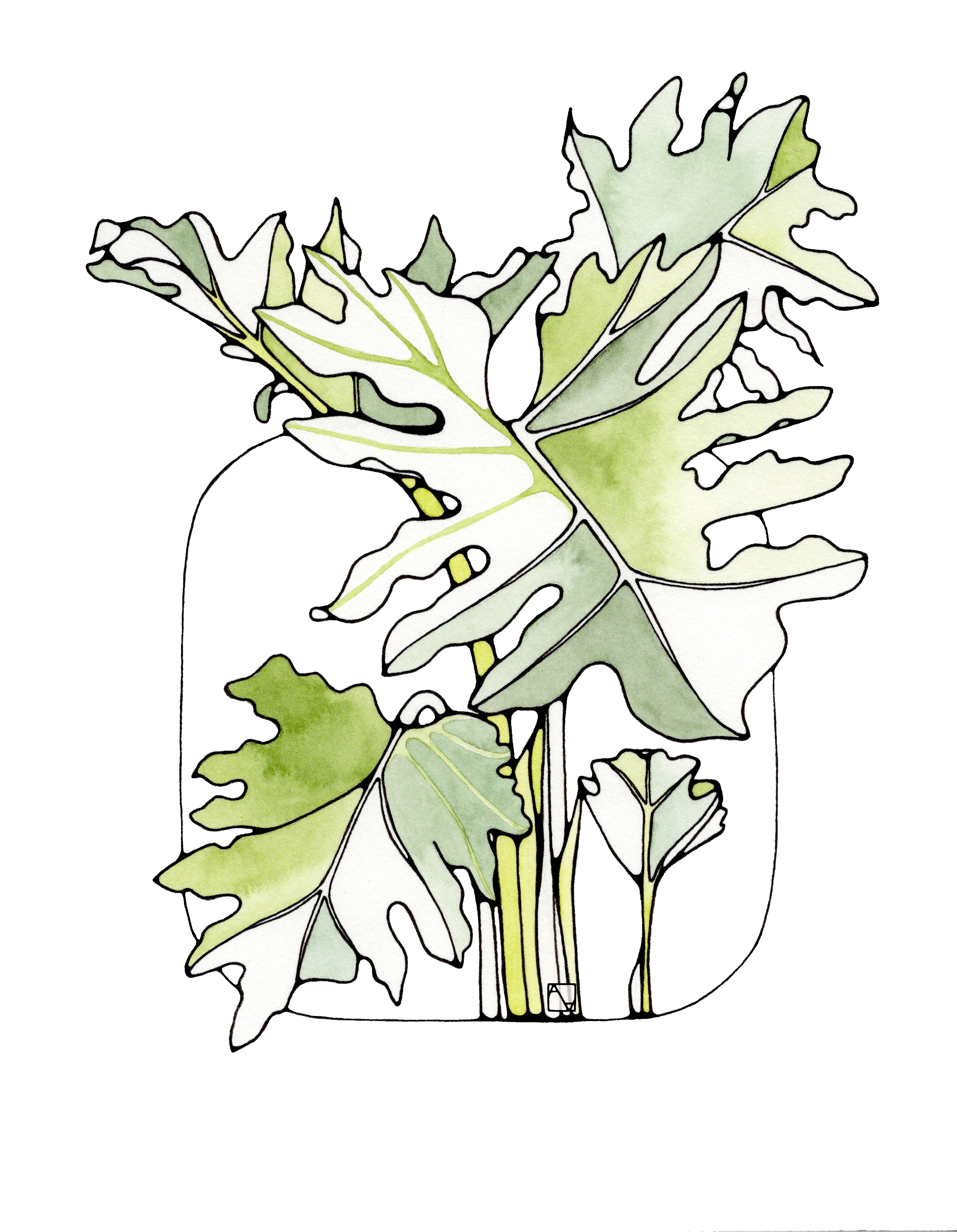 splitleaf_logo.png