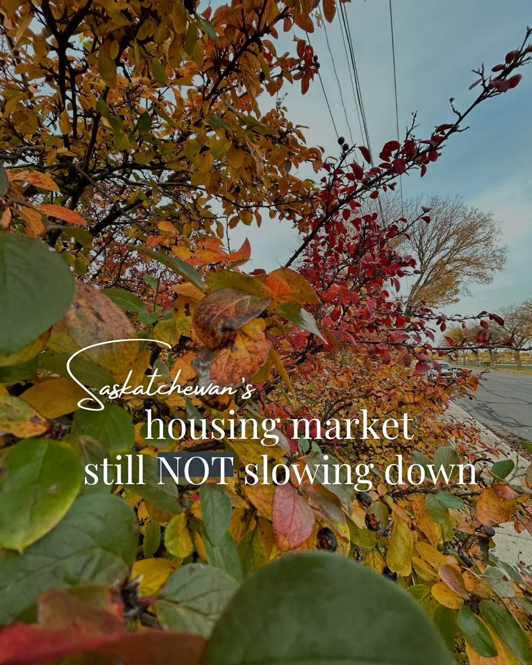 Saskatchewan&rsquo;s housing market? Still not slowing down.⁠
⁠
September clocked in 1,528 sales - the second-strongest September on record - and 10% higher than last year. That&rsquo;s 27 straight months of above-average sales. ⁠
⁠
Let that sink in.