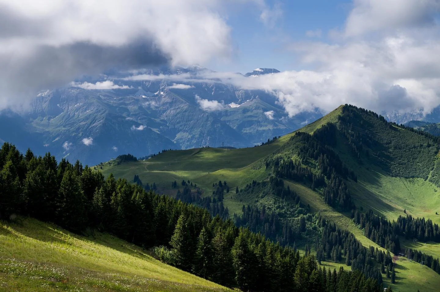 Summer walk
-
-
#chatel #portesdusoleil #montagnes
#mountains #alps #alpes #wild #wilderness #france #nature #tree #wood #lake #folklife #pictures #landscape #outdoors #wanderlust #travel #wildlife #lift #leica #leicaphotography #magical #noctilux @c