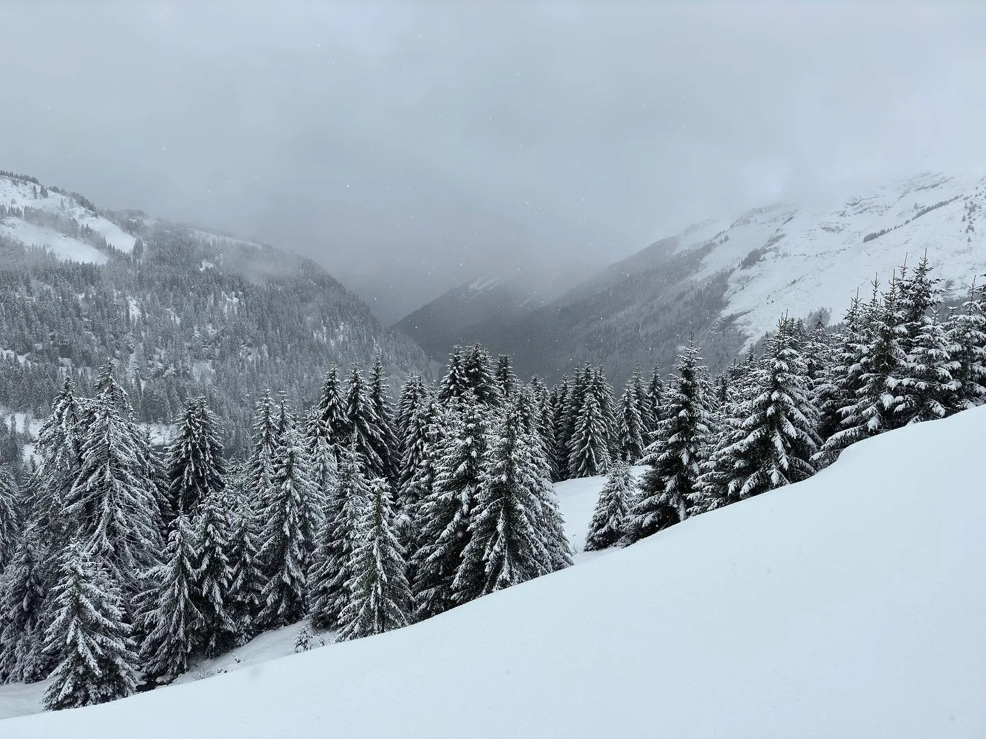 Fresh snow this morning
-
-
#landscapephotography #exploremore #ourplanetdaily #createcommune #landscape_lover #castlemountain #travelphotography #discoverearth #agameoftones #awesomeglobe #roamtheplanet #earthofficial #goneoutdoors #artofvisuals #ne