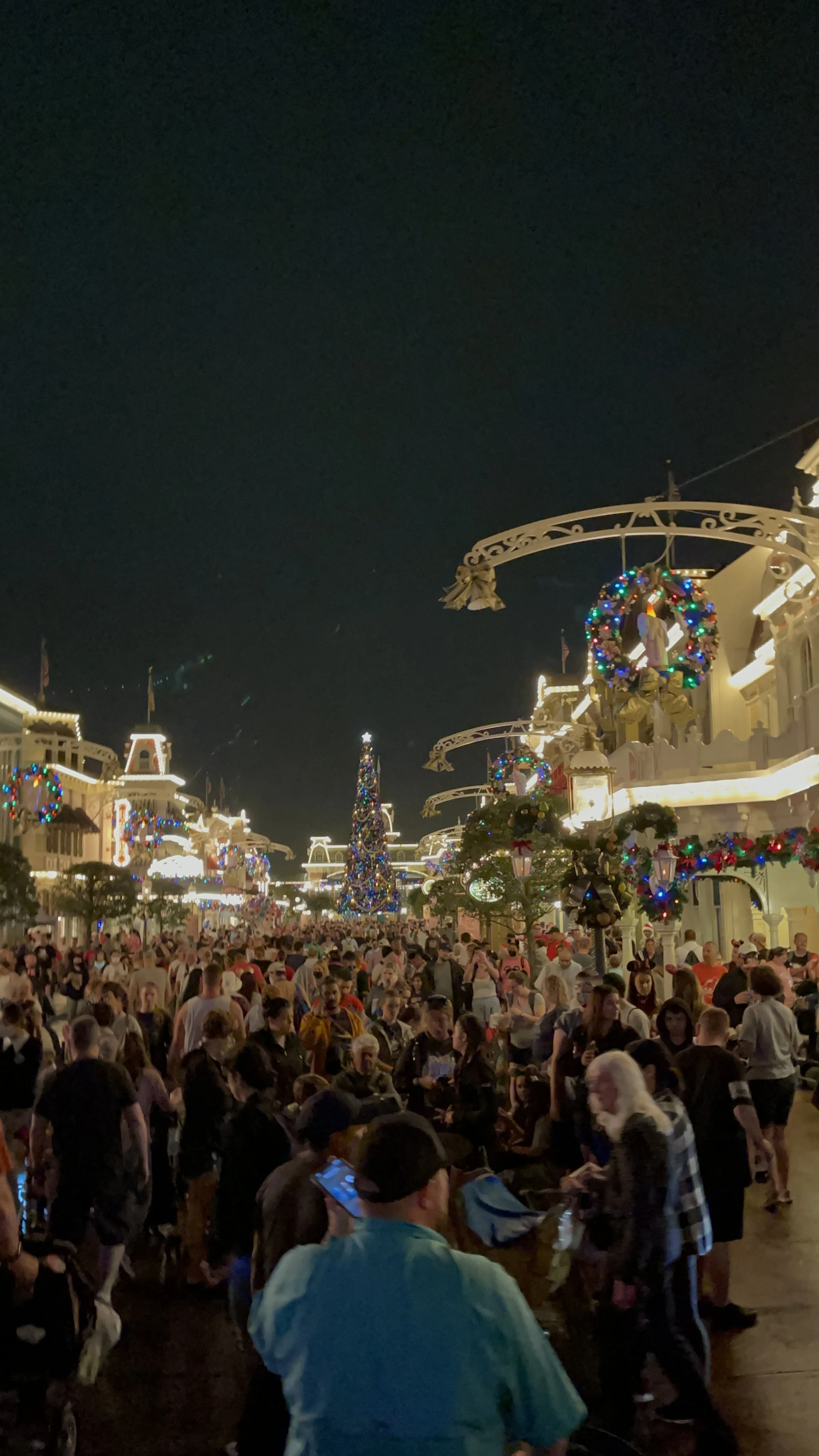 Magic Kingdom Fireworks Wheelchair & Sensory Tips — Bethany Hildebrandt