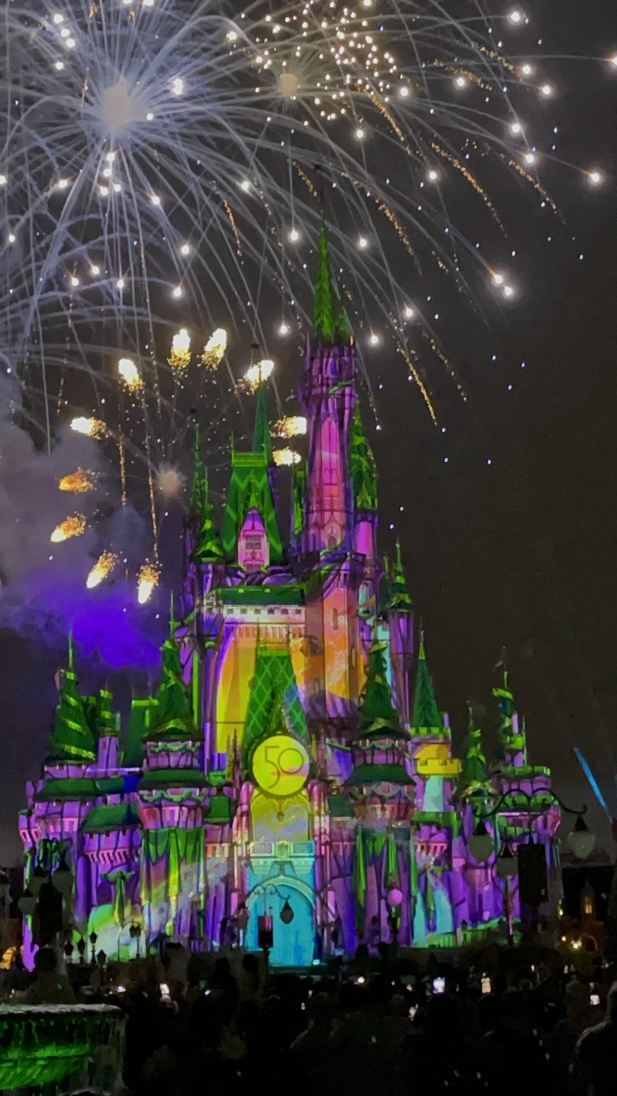 Magic Kingdom Fireworks Wheelchair & Sensory Tips — Bethany Hildebrandt