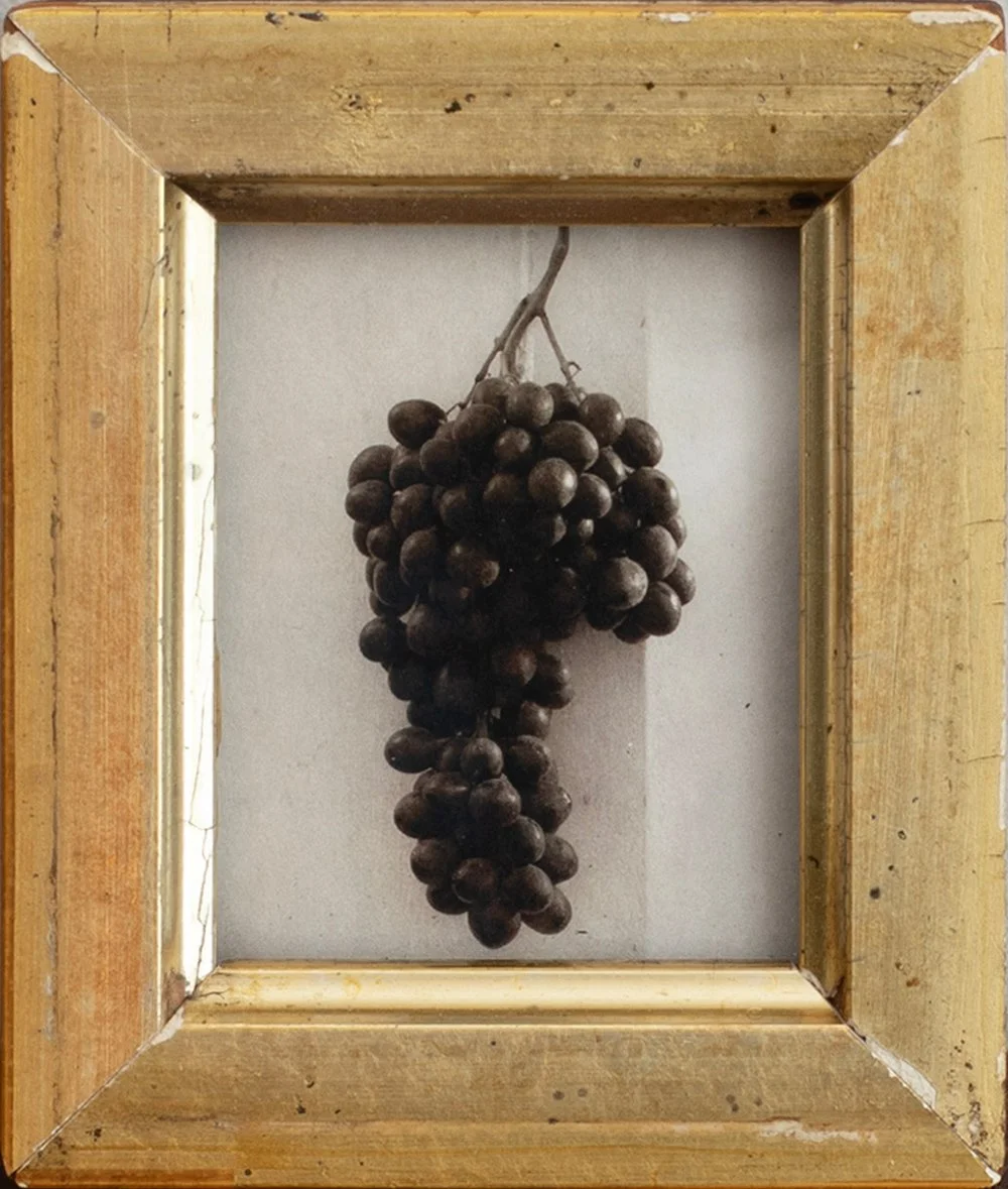 web_still-life-florence.jpg