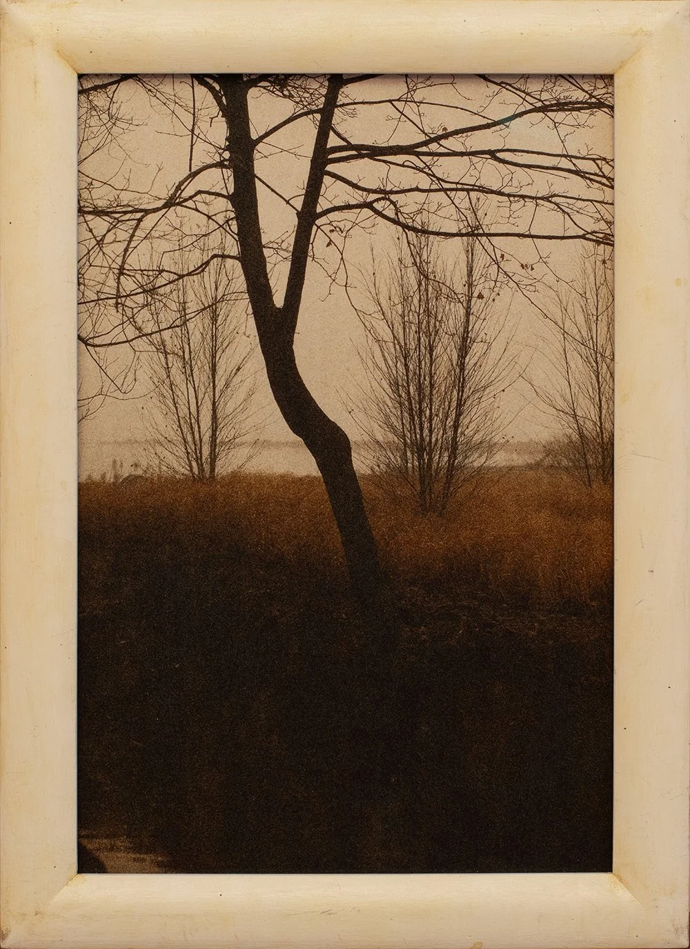 web_maps-drawn-in-branches.jpg