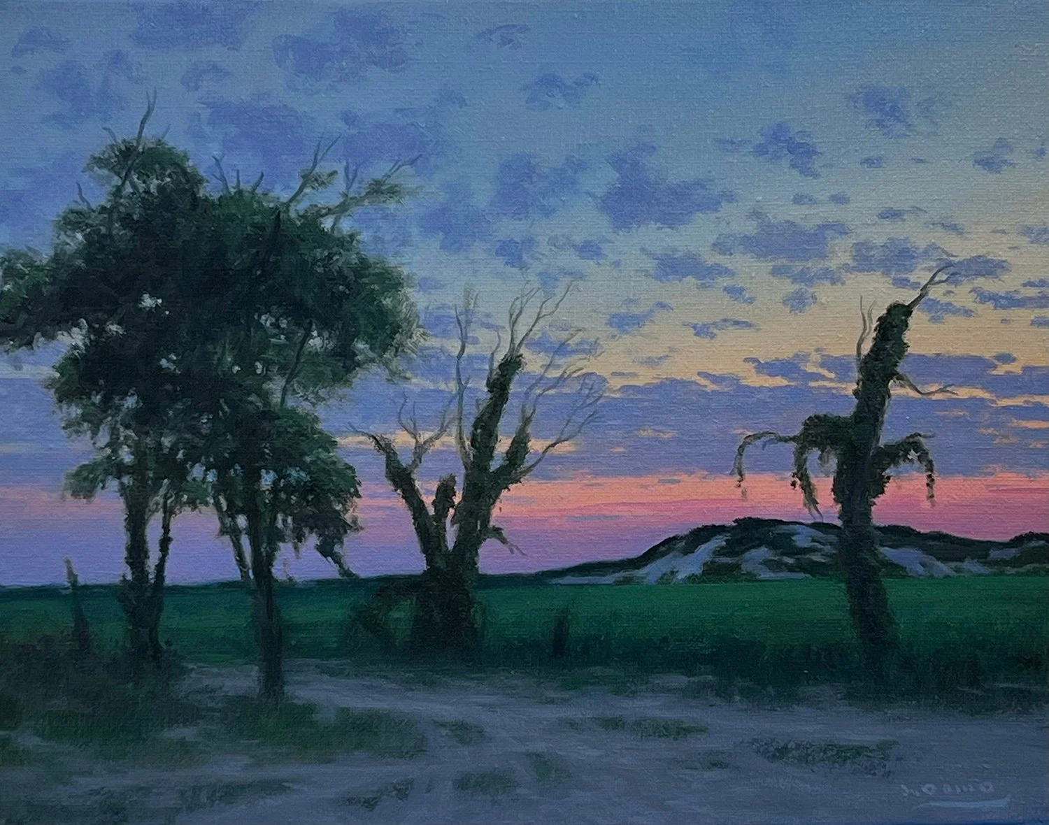 Moor's Twilight