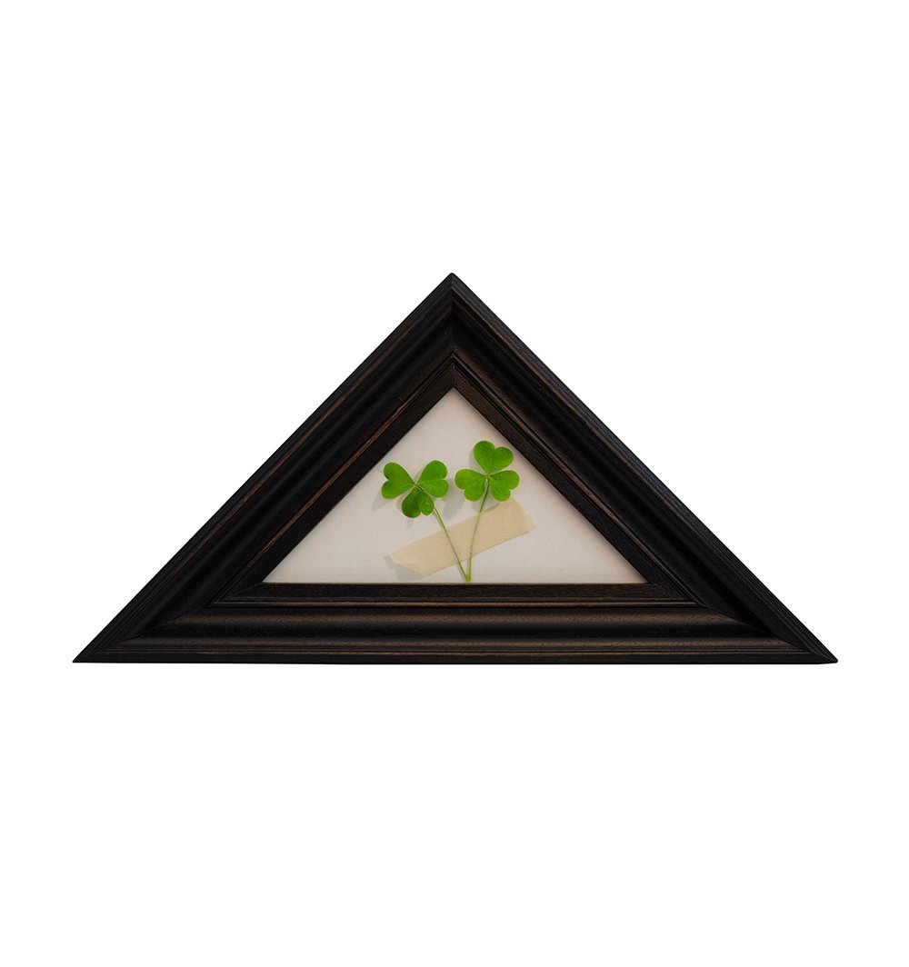 web_a-marriage-of-shamrocks.jpg