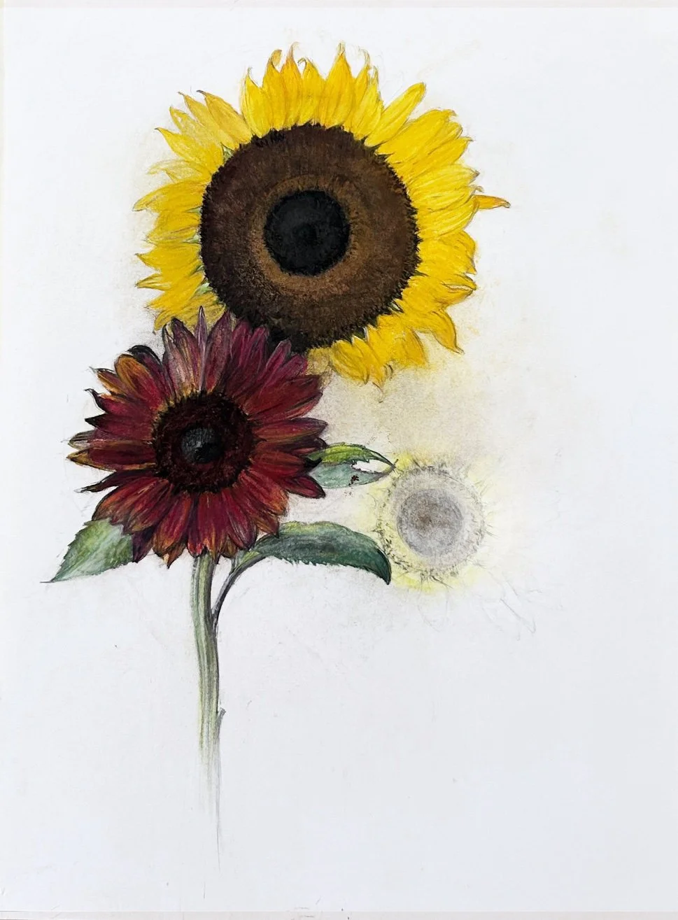 One Red, One Yellow Sunflower.HR.jpg
