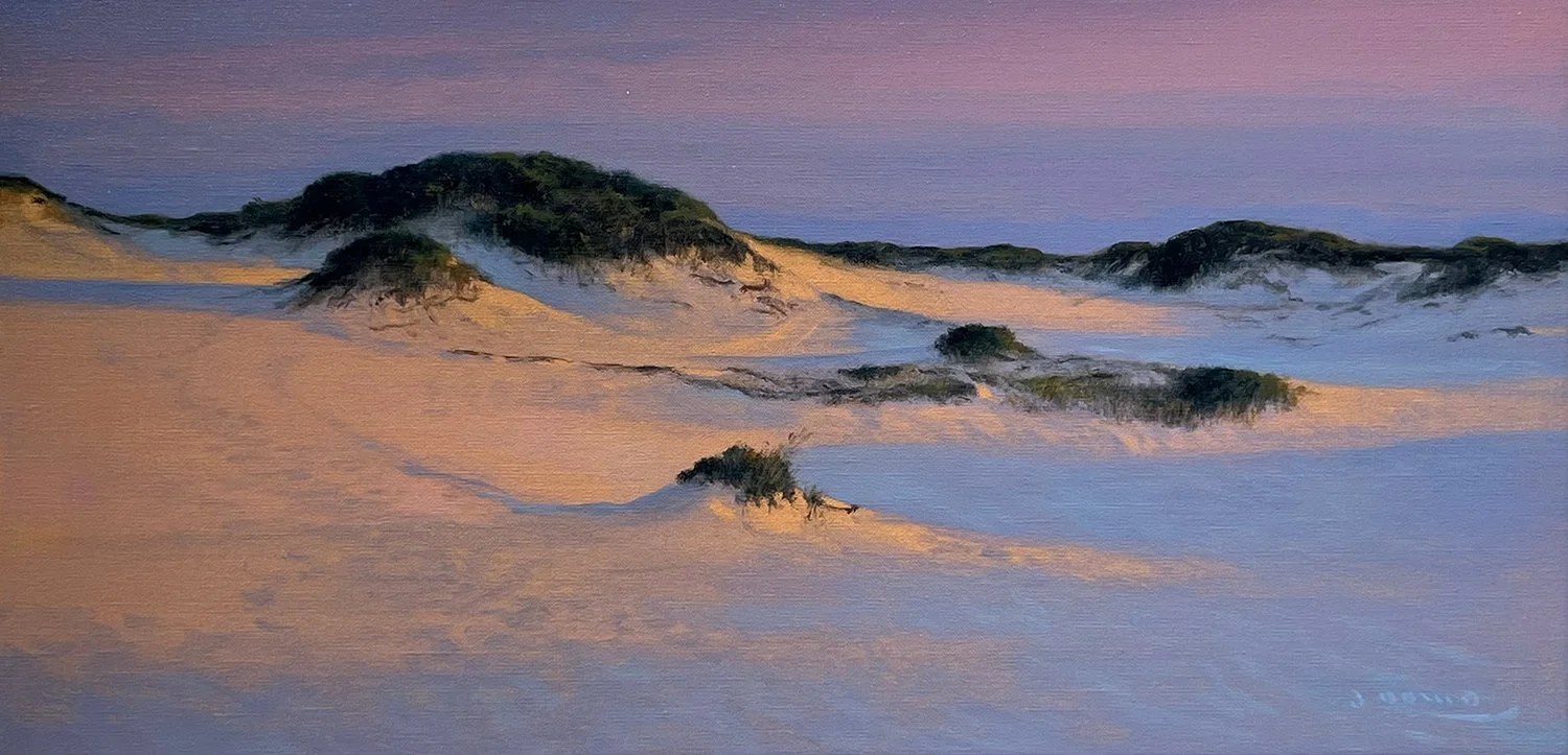 Dowd-in_the_provincelands_12x24.jpg