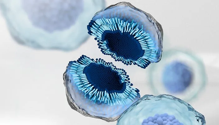 Close-up illustration of cells with blue and gray colors, showing detailed internal structures.