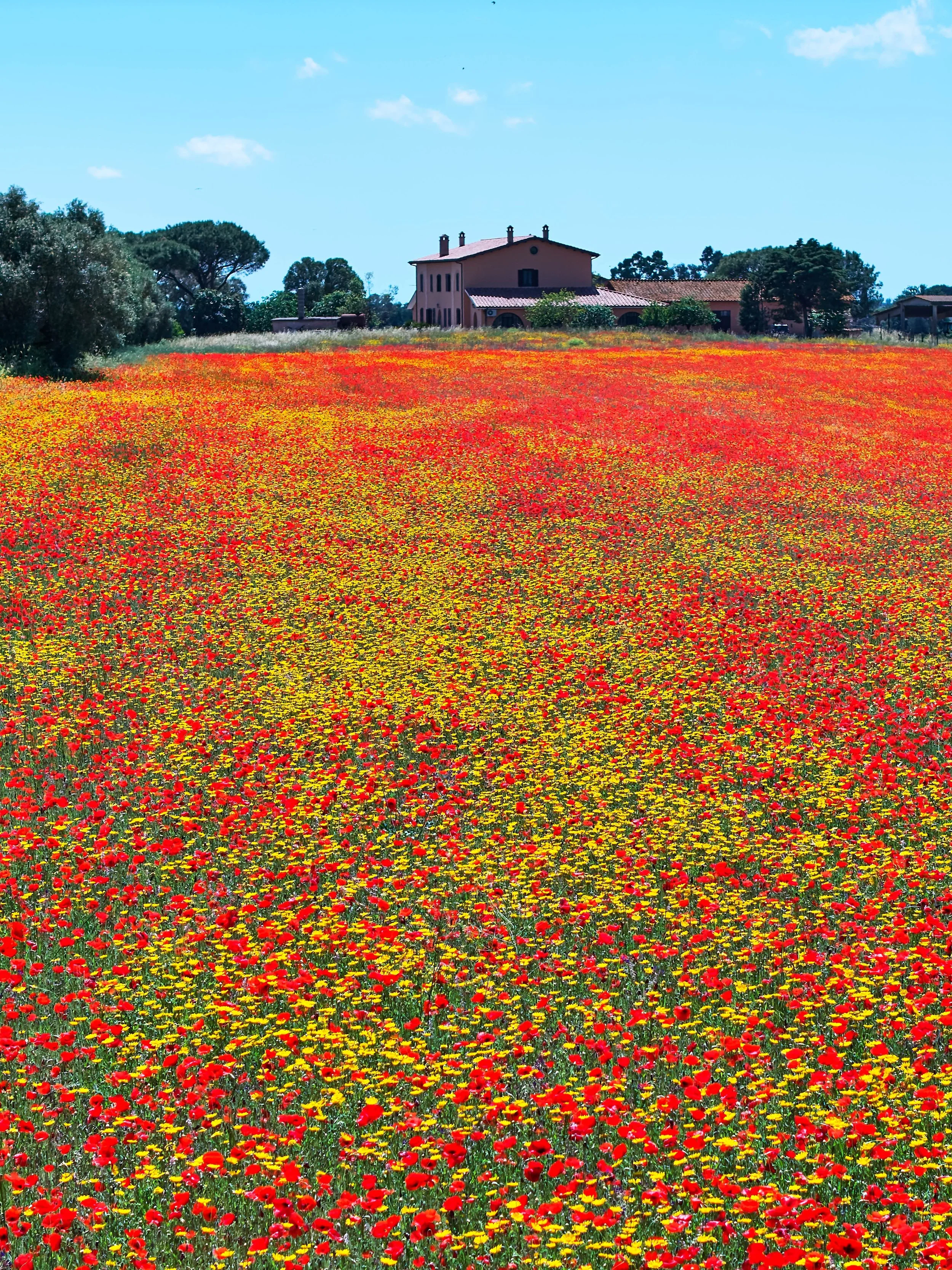 La Storta 11_5_26-5.jpg