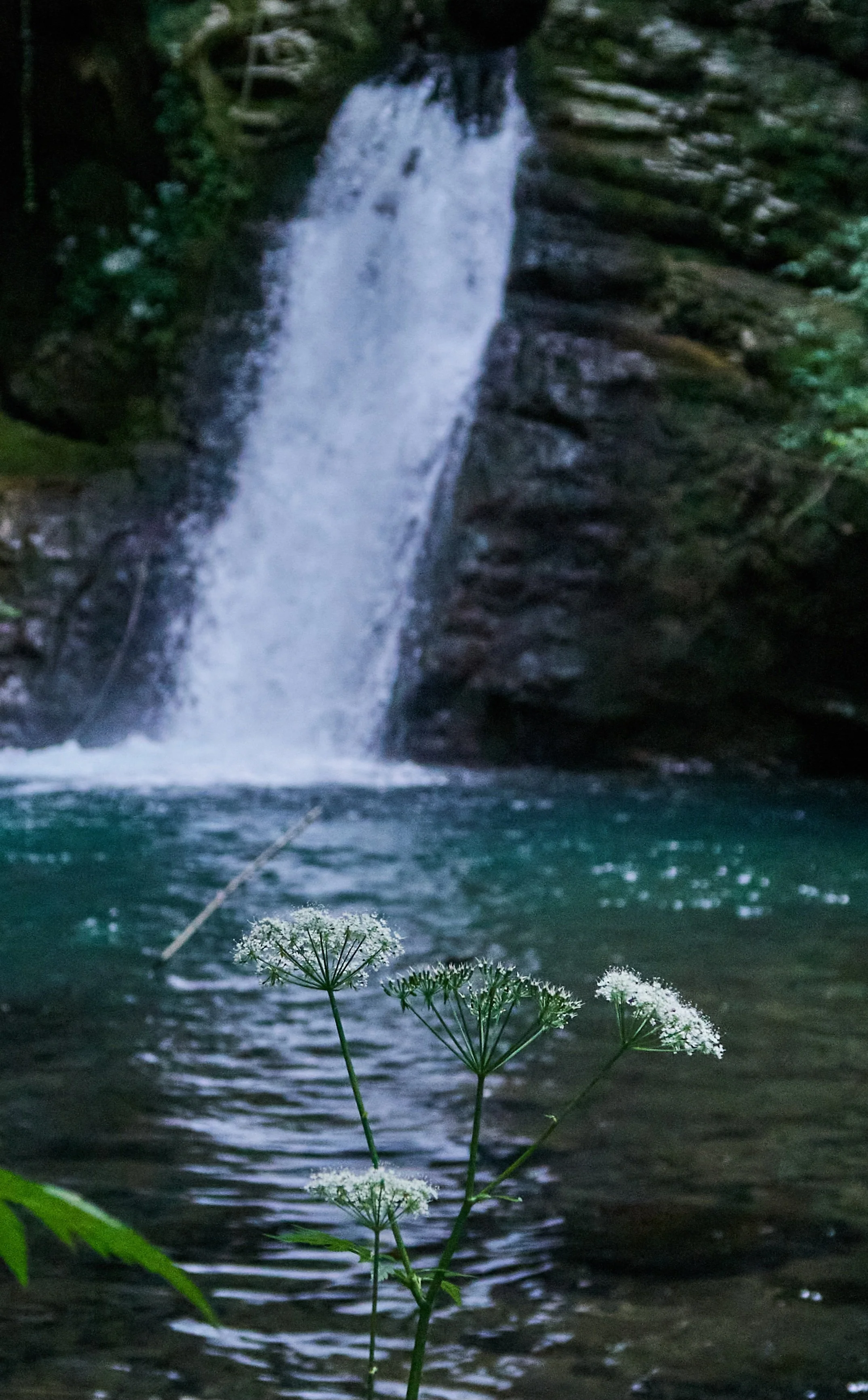 Aniene 21_5_26-17.jpg
