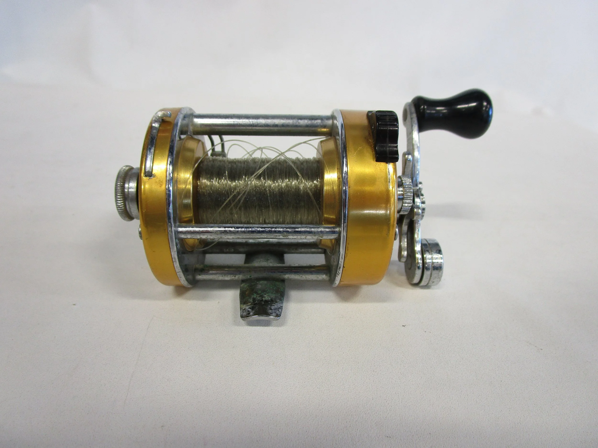 C8499 (3).JPG