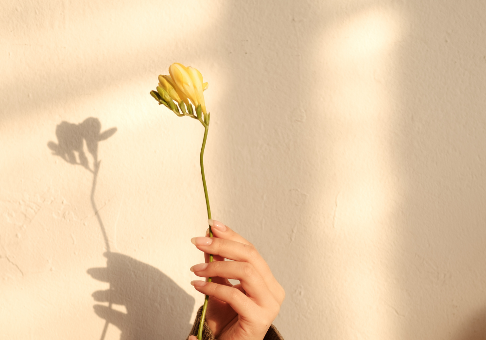 Healing After an Abortion: Is There Hope?